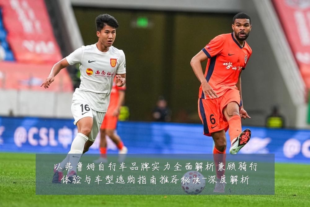 以弗鲁姆自行车品牌实力全面解析兼顾骑行体验与车型选购指南推荐秘诀-深度解析